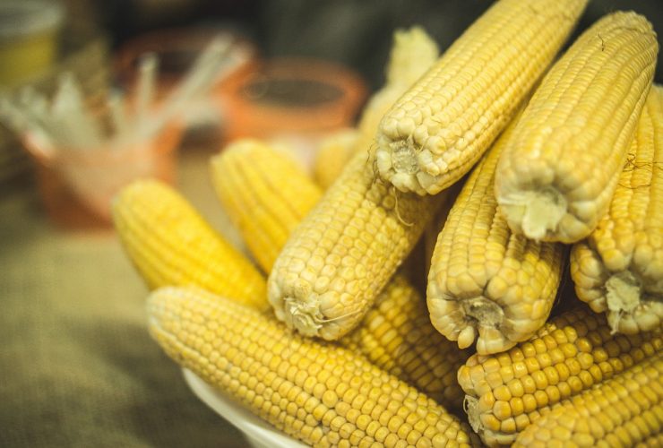 Culinária caipira: o que não pode faltar numa festa junina típica?