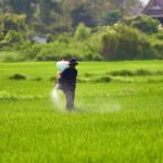 Qual a dosagem de Roundup WG por litro de água