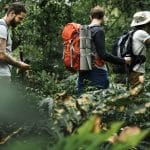 ecoturismo
