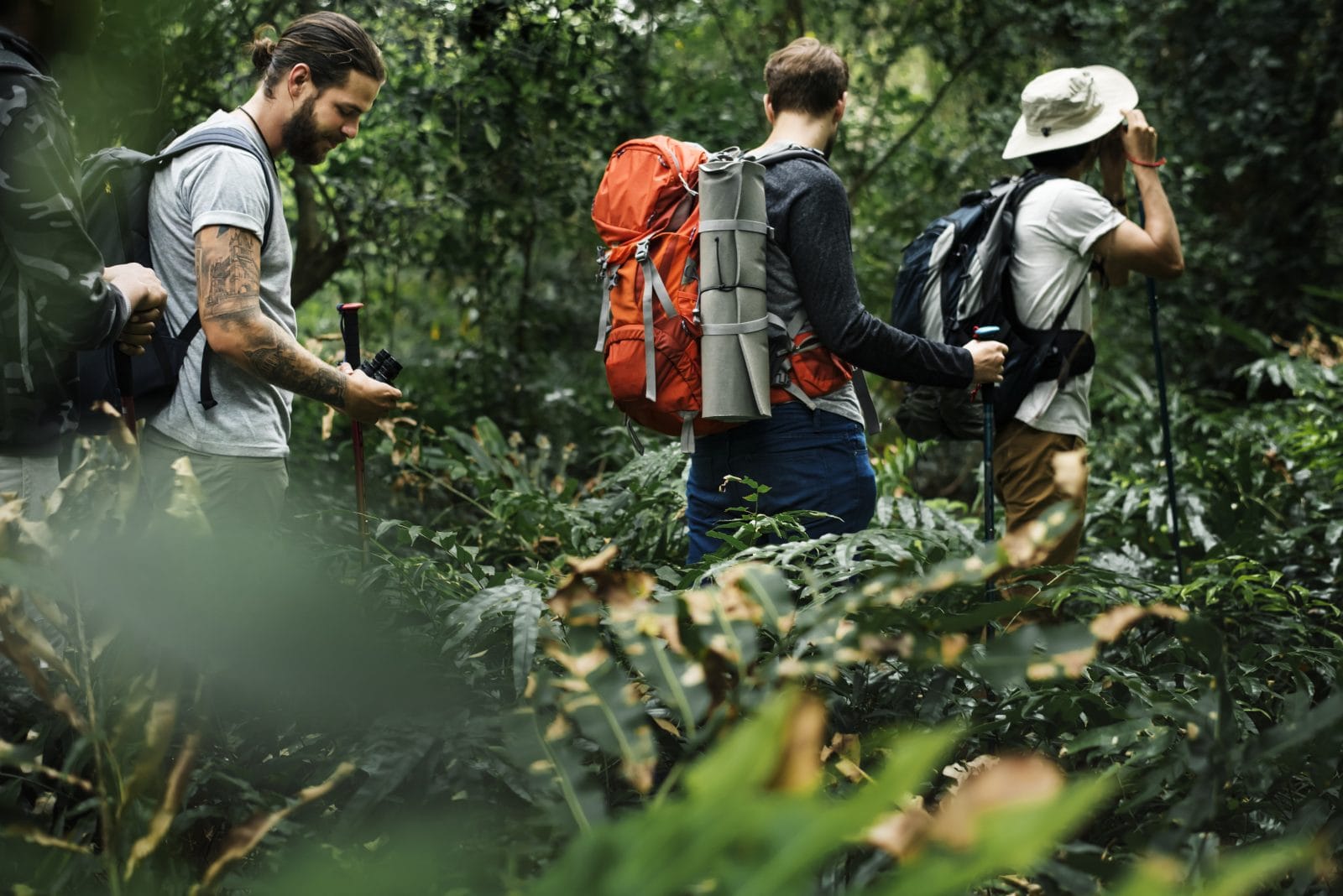 ecoturismo